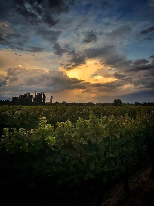 Bodega Durigutti Family Winemakers Villa Las Compuertas Bagian luar foto